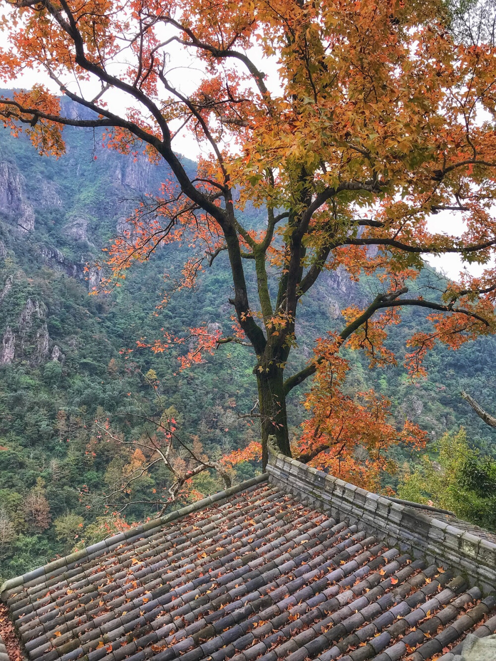 溫州南雁蕩山