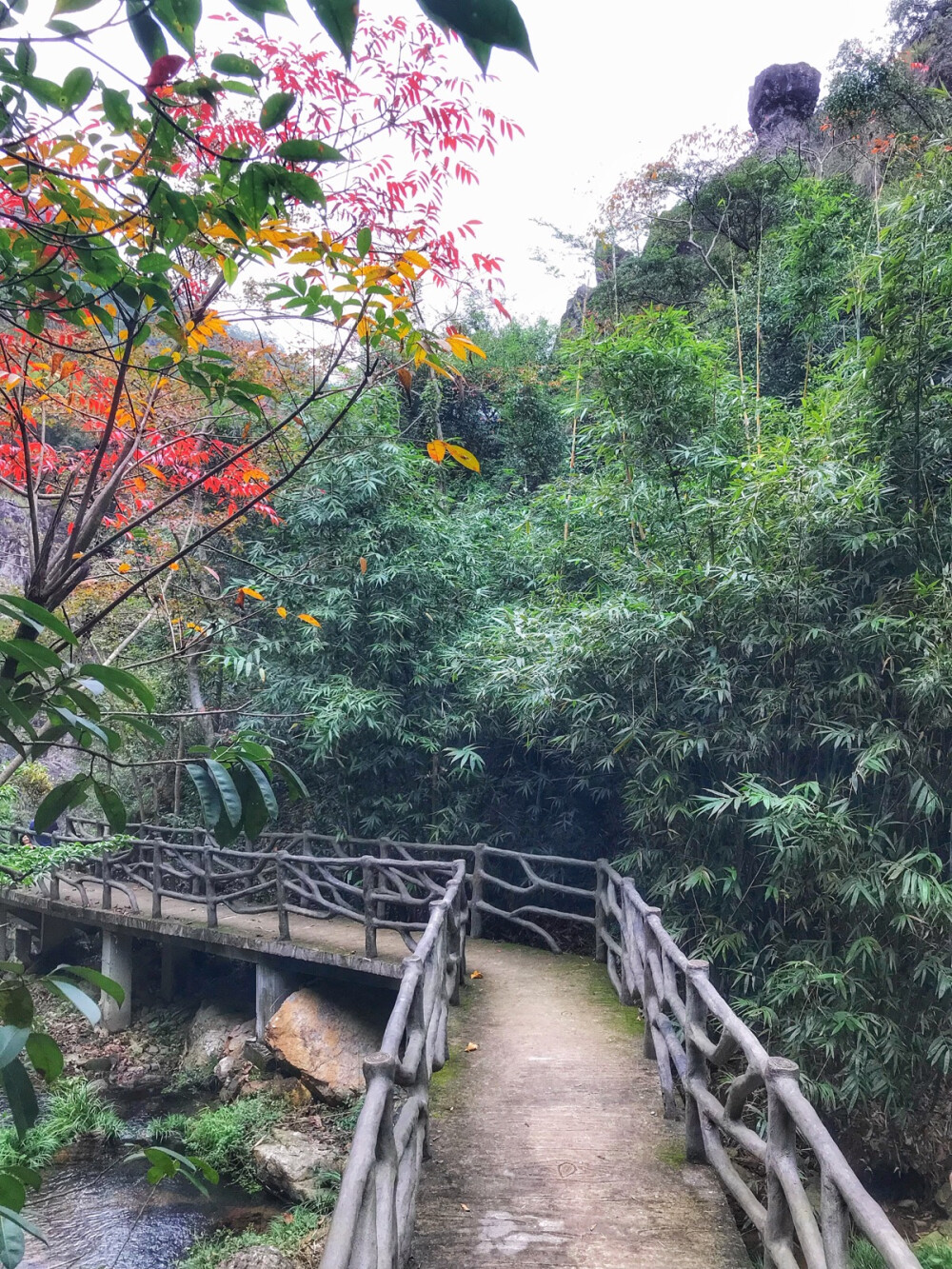 溫州南雁蕩山