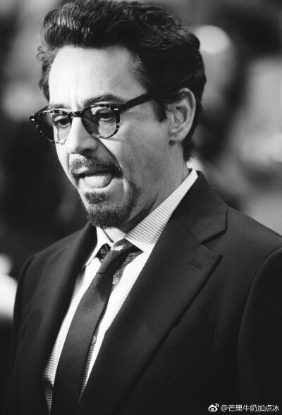 Robert Downey Jr.