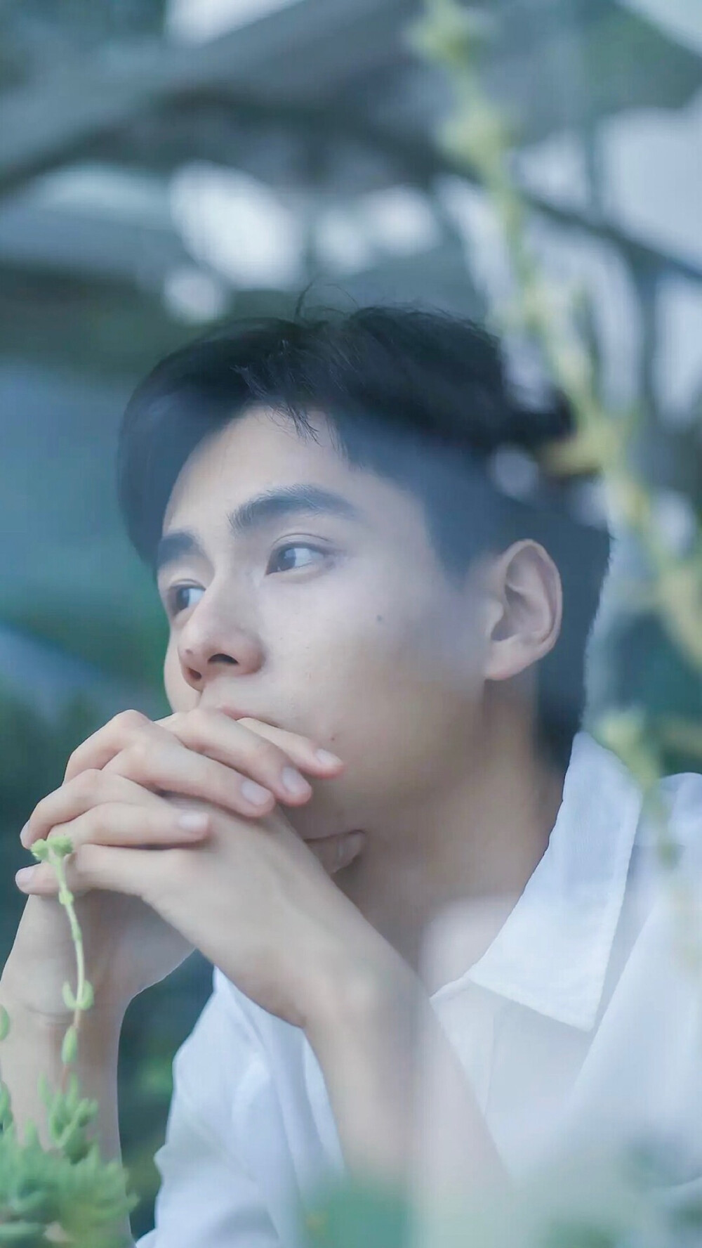 胡一天 我是你的小迷妹