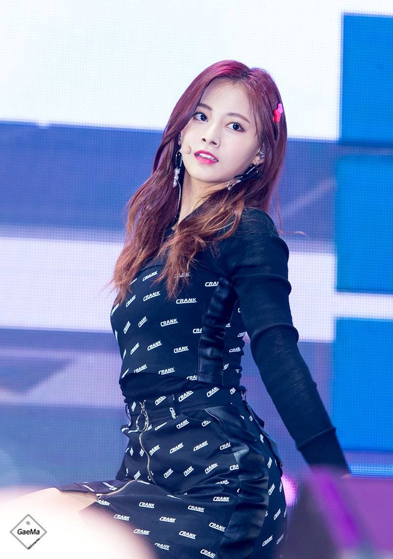 周子瑜 쯔위 Tzuyu
TWICE成员