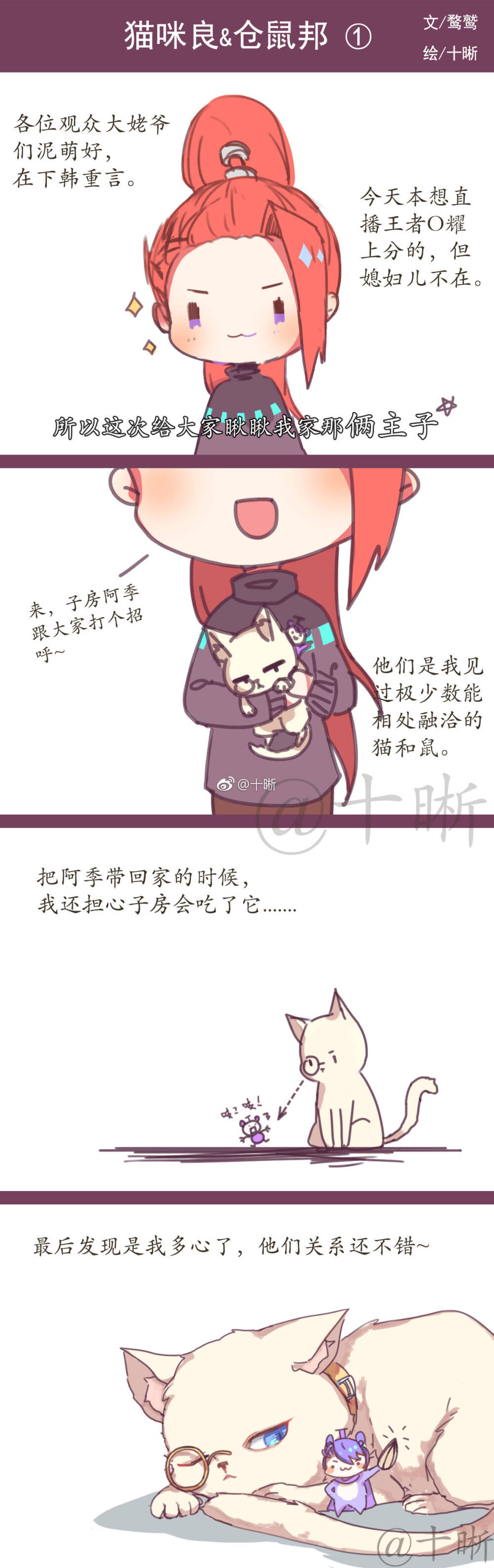 ★猫咪良&仓鼠邦①★