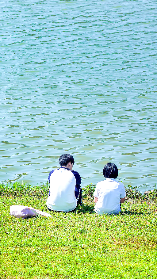 致我们单纯的小美好壁纸cr望川鲸