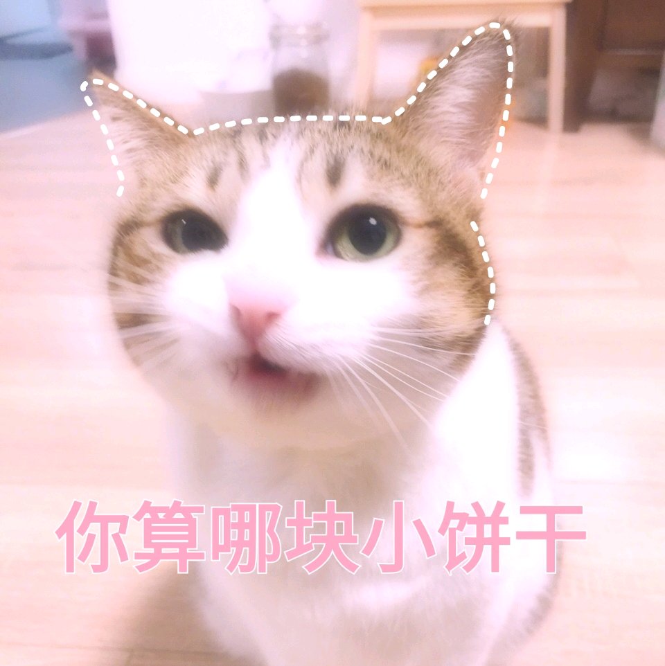 猫表情包