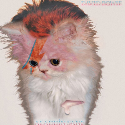 来自猫儿的cos——原David Bowie 《ALADDIN SANE》。