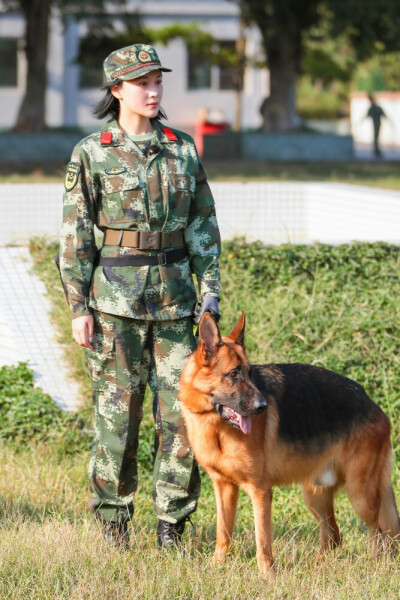 张馨予 奇兵神犬