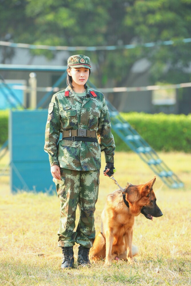 张馨予 奇兵神犬