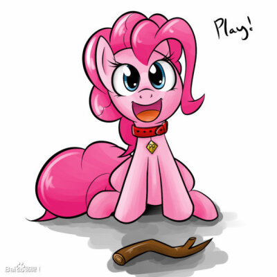 MLP