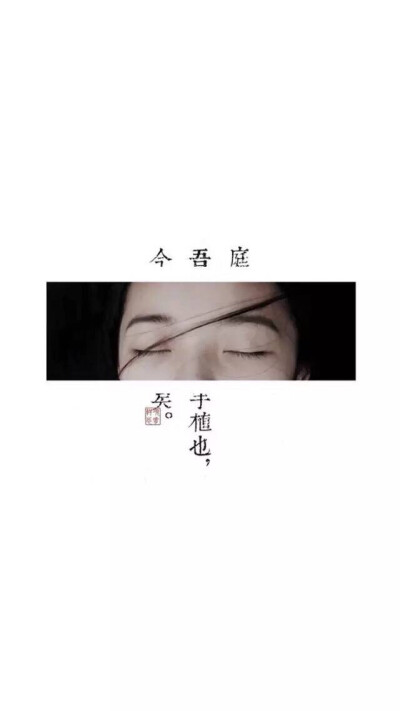 全屏壁纸