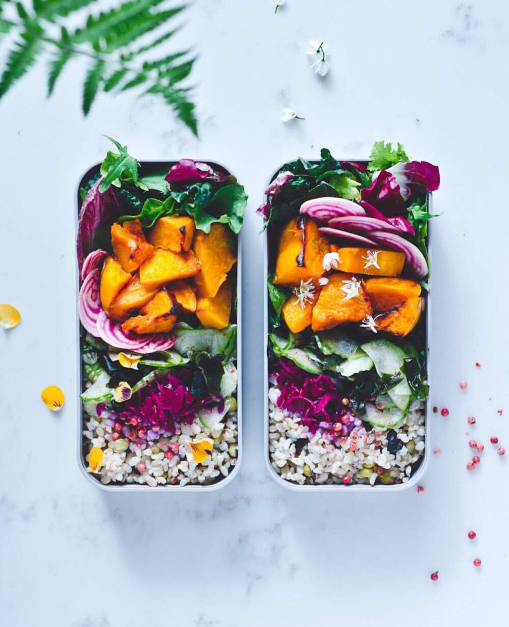 花花绿绿的素食便当，水果，蔬菜，粗粮