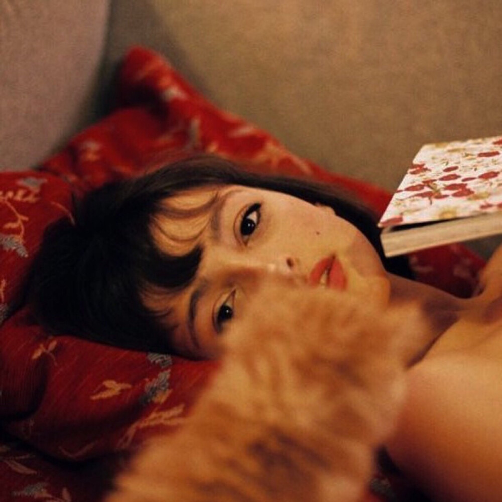 不换头像会死星人