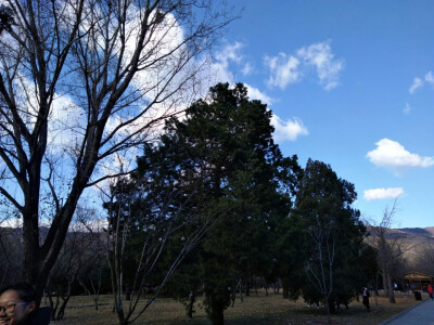 北京植物园＆曹雪芹纪念馆秋游研学
11月22号，我们三十九中的高一全体学生前往香山脚下的北京植物园和园内的曹雪芹纪念馆秋游并进行研学活动，我们高一全体学生不仅玩得很开心，从中学到了一些植物的知识和曹雪芹的…