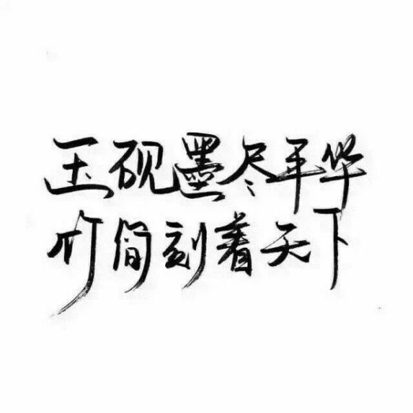 秀丽笔 笔笔墨字 文字控 小清新 文艺 玉砚墨尽平华竹简刻天下