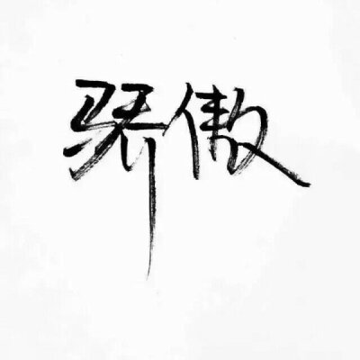 秀丽笔 笔笔墨字 文字控 小清新 文艺 骄傲