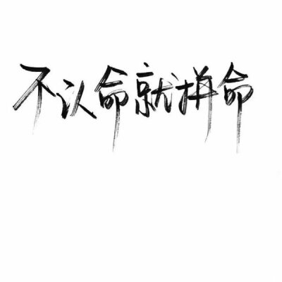 秀丽笔 笔笔墨字 文字控 小清新 文艺 不认命就拼命