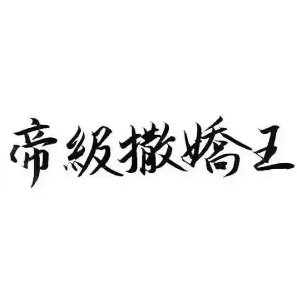 秀丽笔 笔笔墨字 文字控 小清新 文艺 帝级撒娇王