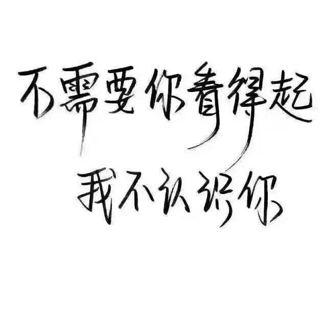 秀丽笔 笔笔墨字 文字控 小清新 文艺 不需要你看得起 我不认识你