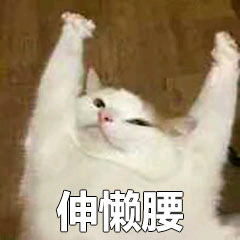 猫咪表情包