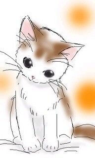 小猫