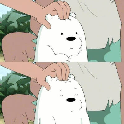 icebear