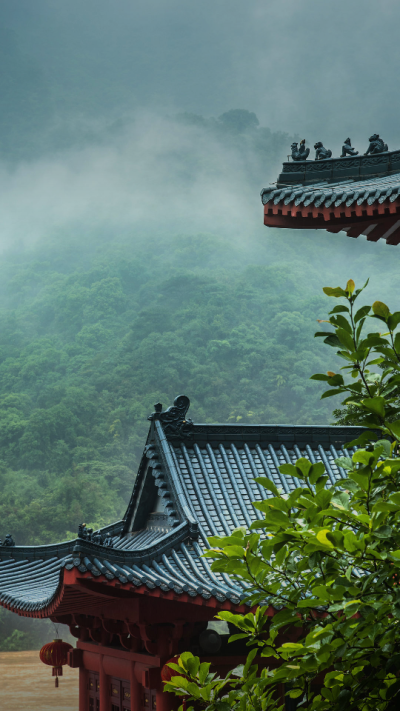 空山新雨后