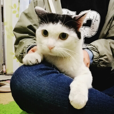 可乖王子殿下
摄影：洪小漩
出镜：可乖