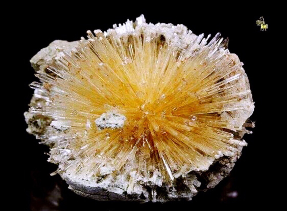 霰石 Aragonite 海胆，盯着这张图久了真的… - 高清图片，堆糖，美图壁纸兴趣社区