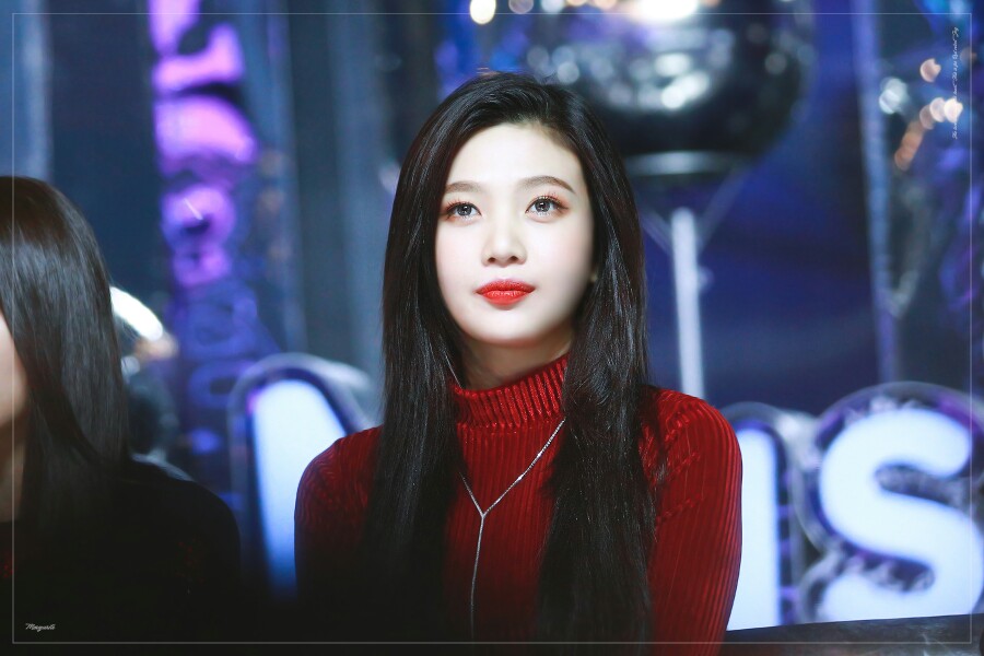 朴秀荣 Joy RedVelvet