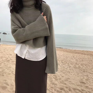 两件套绿毛衣
两件套哦～毛衣和衬衫都可以单穿 毛衣是高领的 冬天穿脖子不会被冻僵哝 简单的坑条设计 超衬肤色的高级灰豆绿色系 搭配裙子温柔死啦～衬衣也是很有质感那种 春秋天都可以单穿的 这样一套很推荐