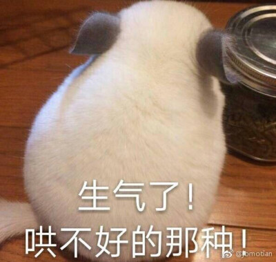 哄不好