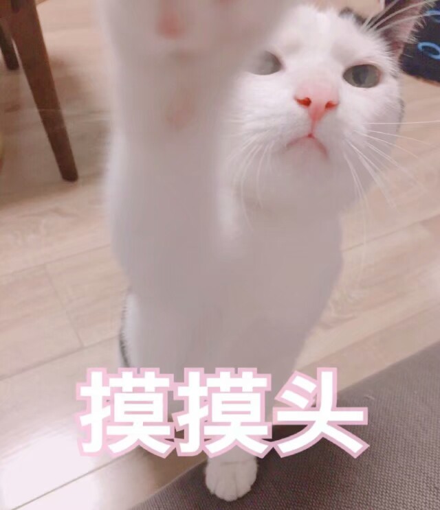 摸摸头