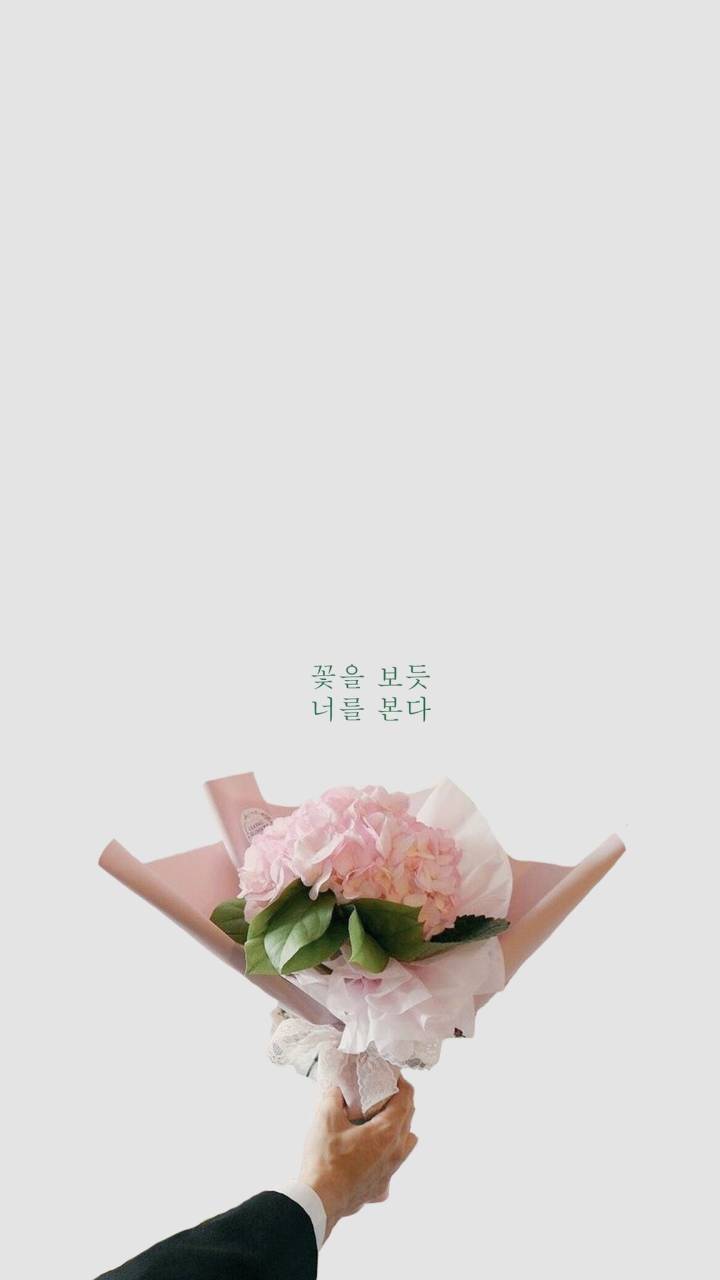 像花朵一样看你❤