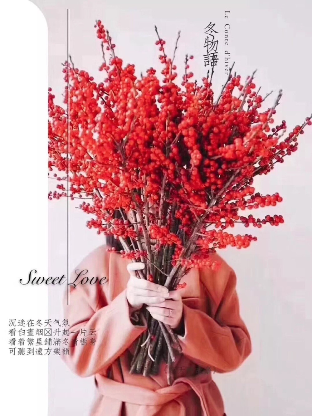 “严冬不肃杀，何以见阳春 ！”冬天，总是给我们一季繁华之后的落寂、色彩单调、万物凋零的印象。但这数九隆冬却是冬青树结果之时，叶子开始慢慢掉落，一串串红彤彤的小果子傲然挺立，不畏严寒的挂在枝头，散发出别样的喜气与生机。