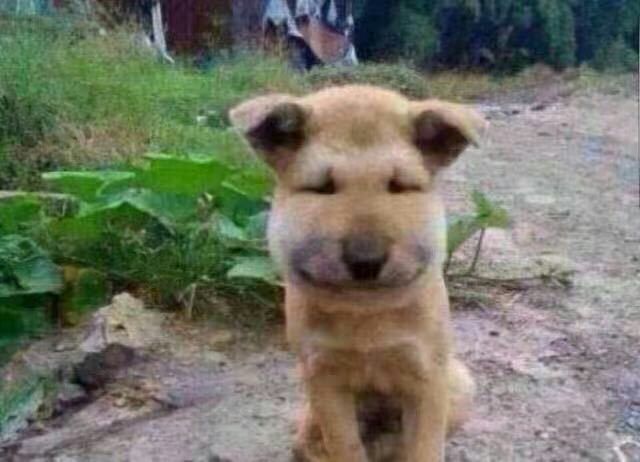 ，