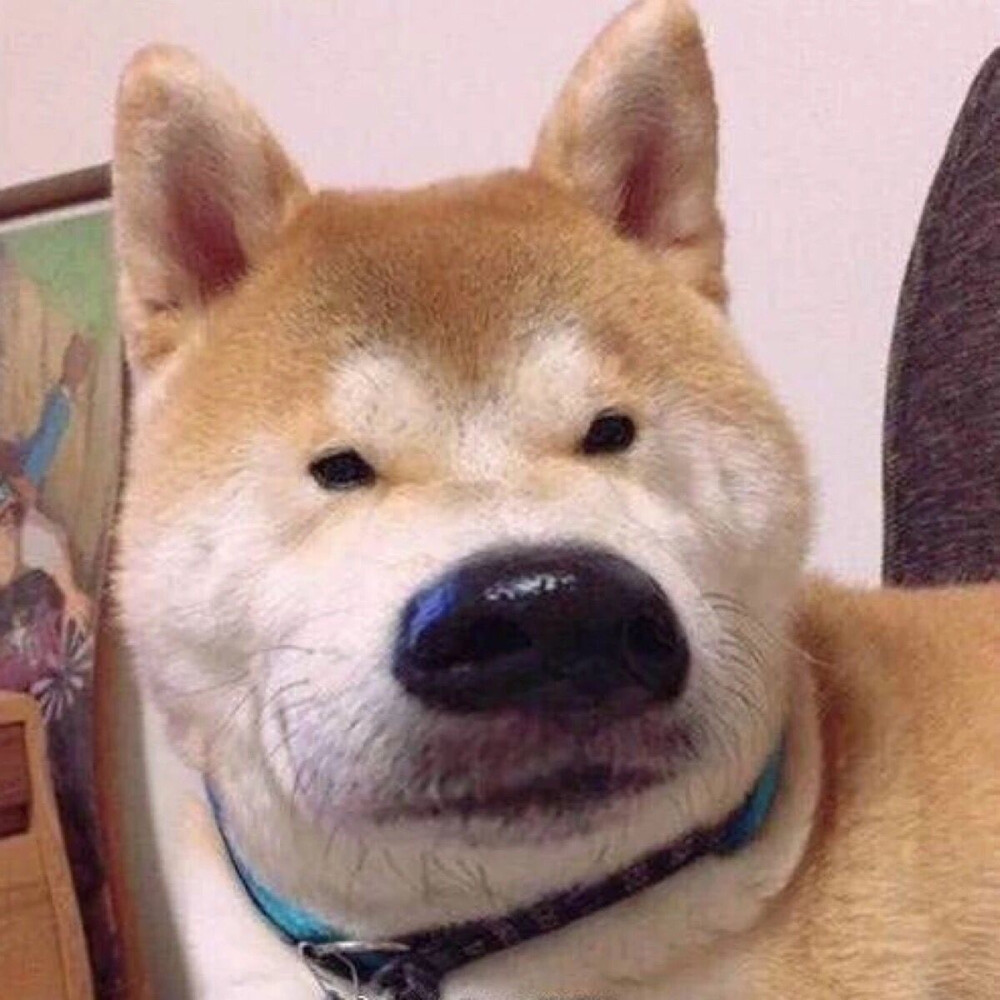 我有点方哈哈哈哈哈哈哈哈哈哈哈哈哈