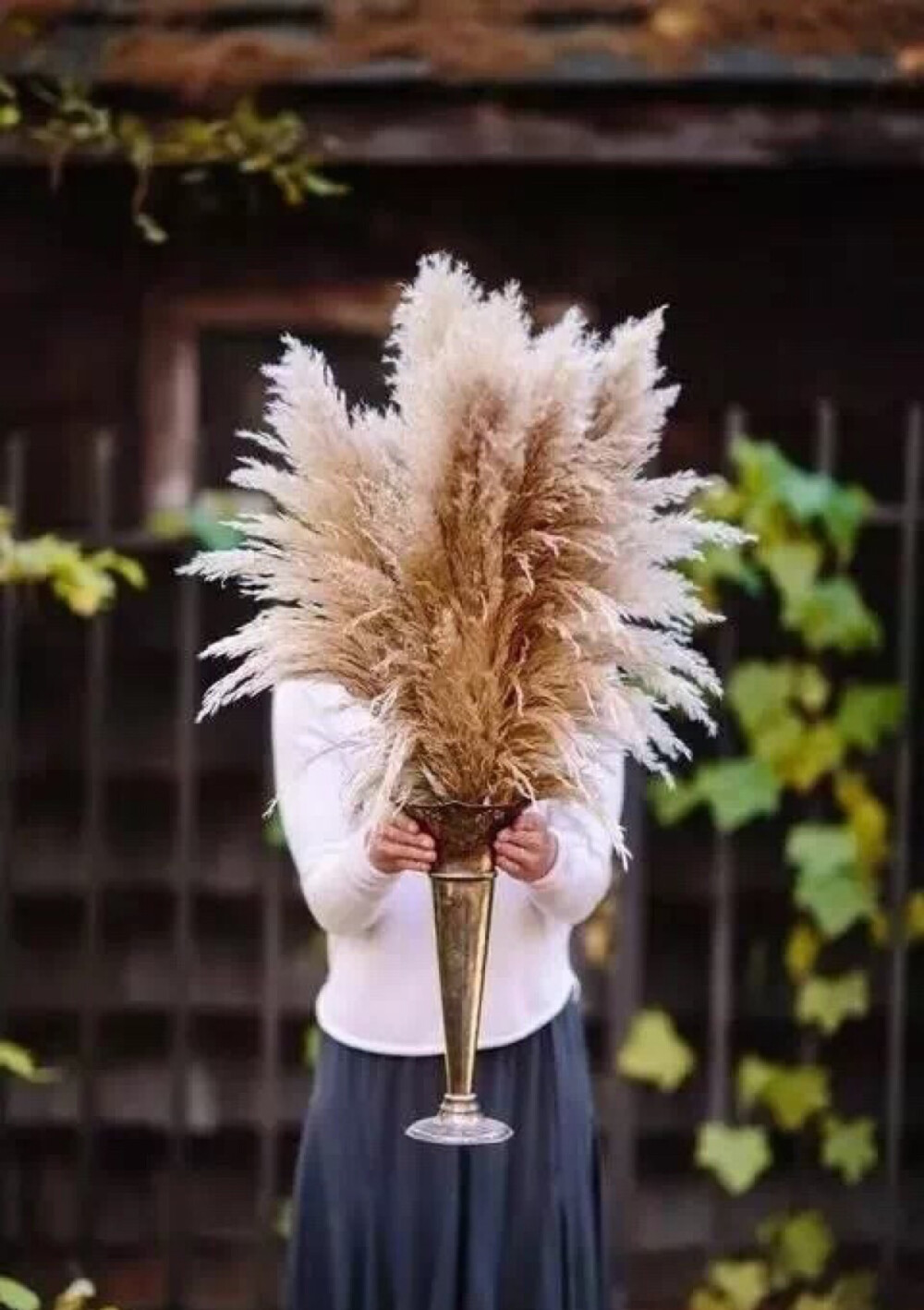 用生命绽放的芦花，在花艺师手中美出了天际。