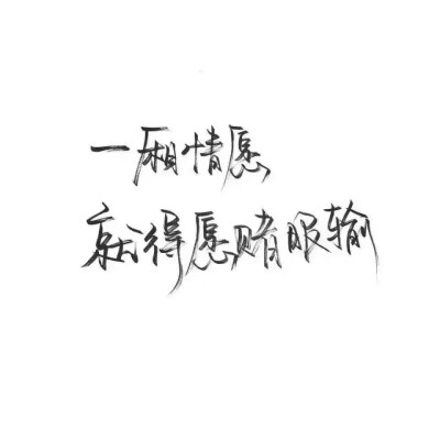 “一厢情愿”
“就得愿赌服输”