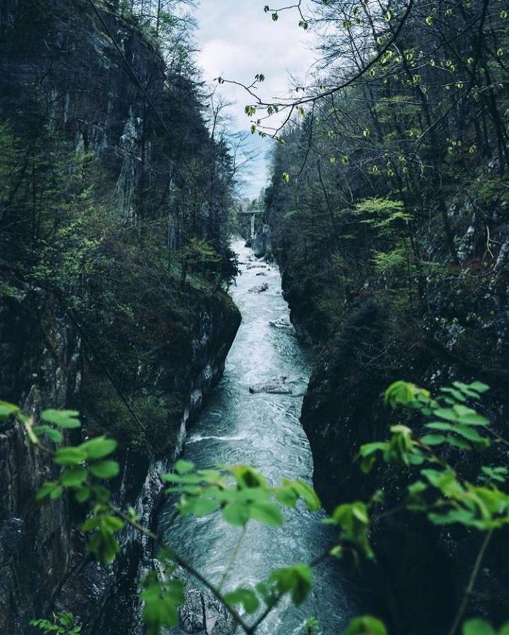 潺潺的溪流，倒映的一生，把罪恶都洗清，允我栖枝，闲时听风吹雨