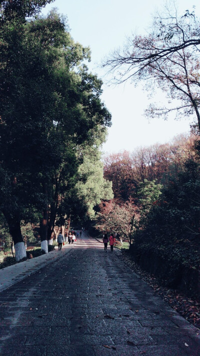 湖北襄阳古隆中