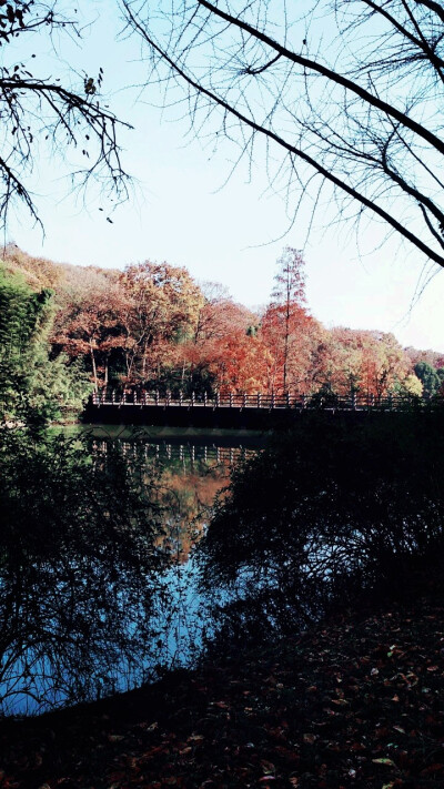 湖北襄阳古隆中