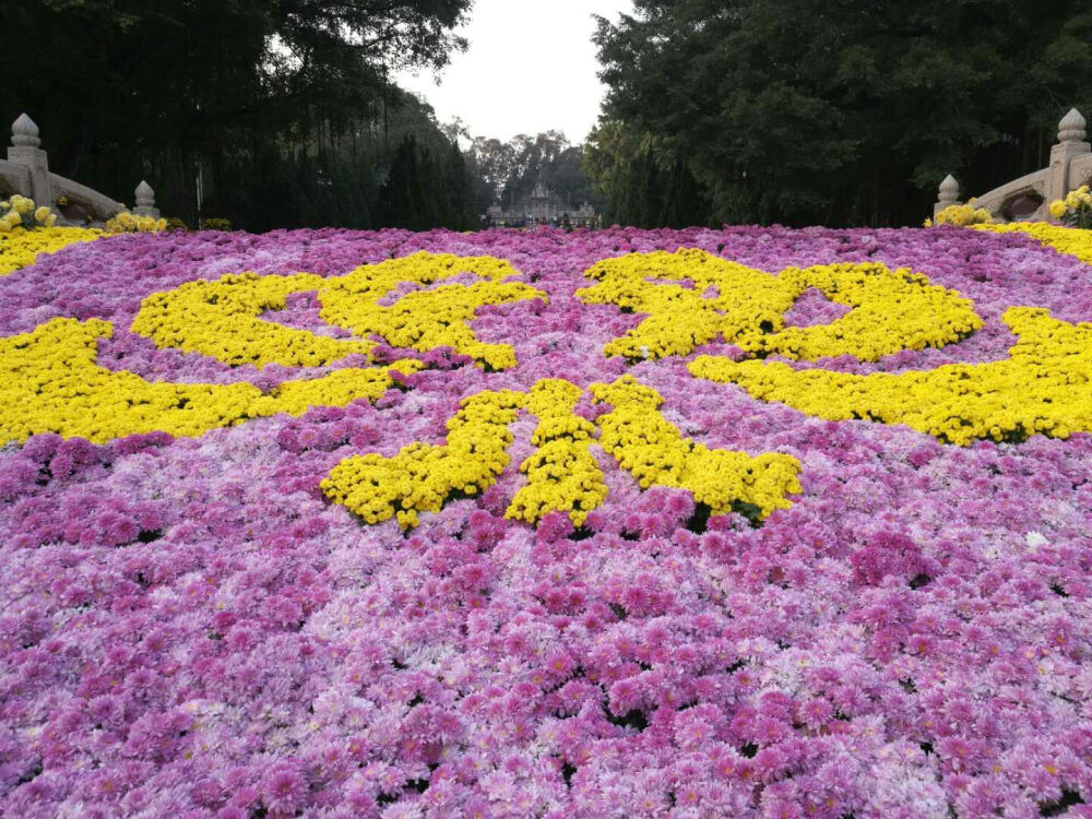 黄花岗七十二烈士陵园赏菊