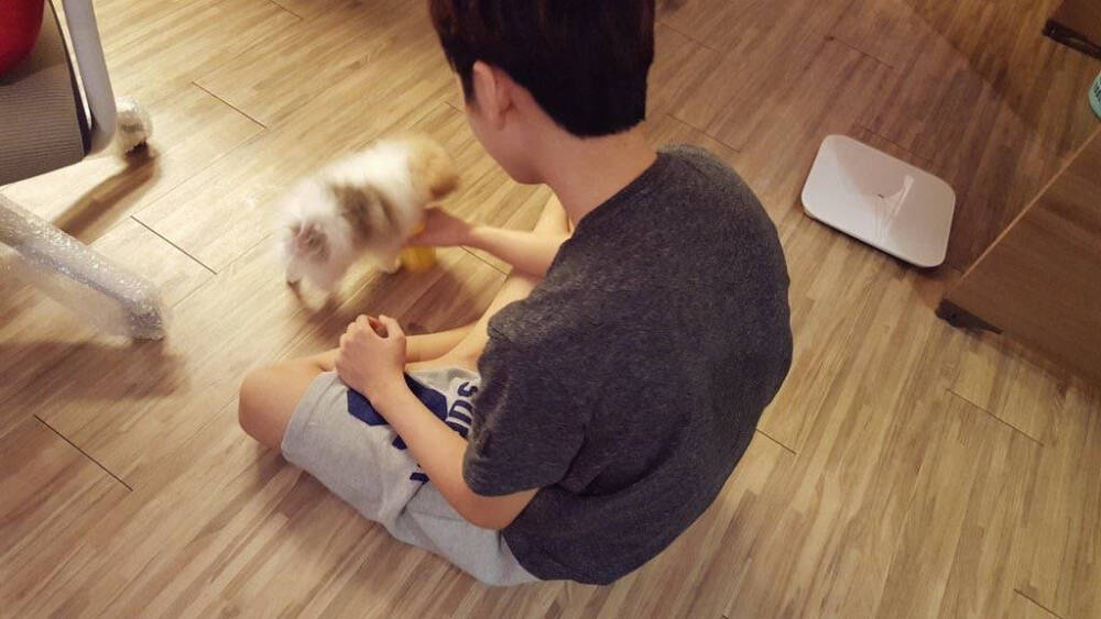 小小的nut小小的Pporo