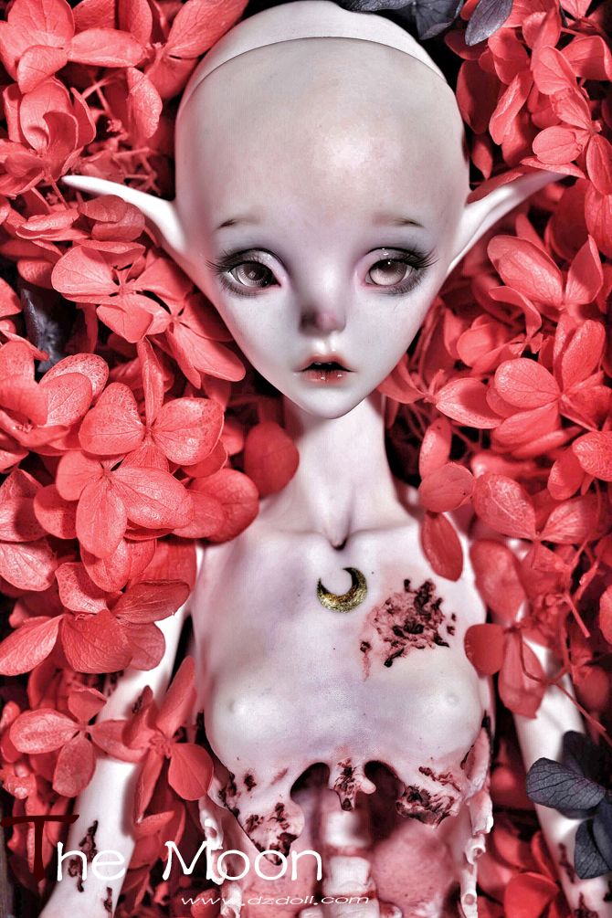 BJD/SD娃娃