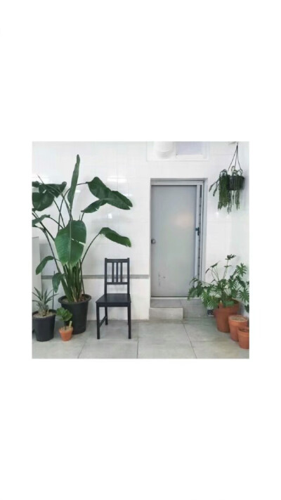 简单壁纸 背景 原宿风