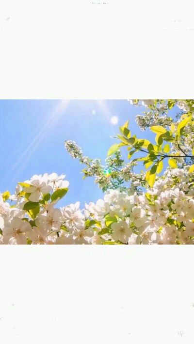 简单壁纸 背景 原宿风