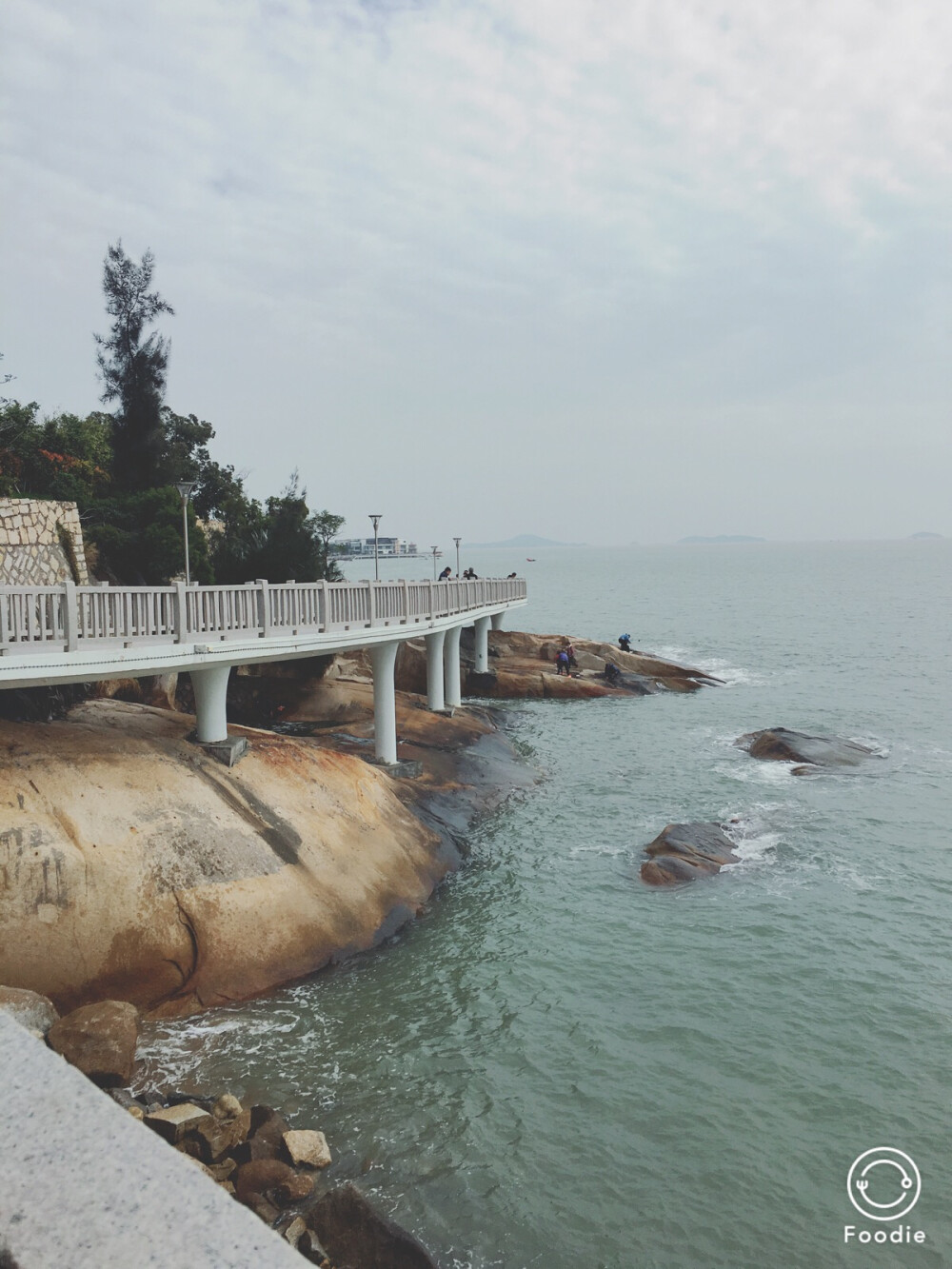 厦门环岛路的小路，哈哈