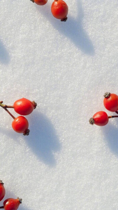 雪白的世界真美呀