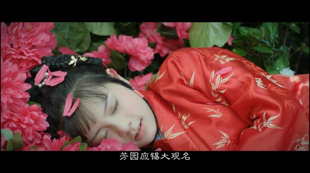 憨湘云醉眠芍药茵