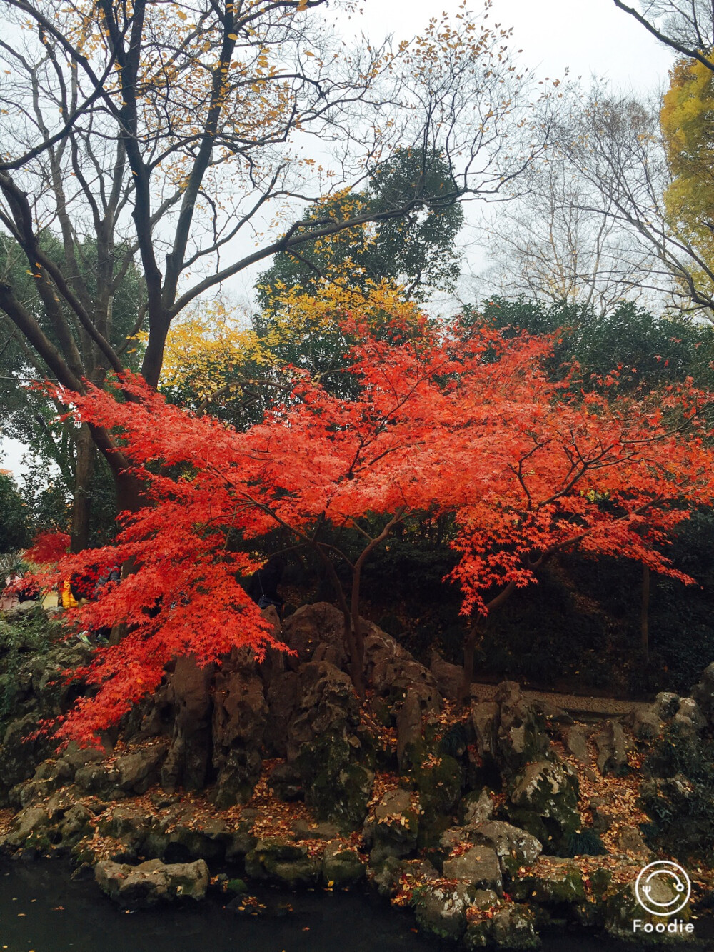 一抹红