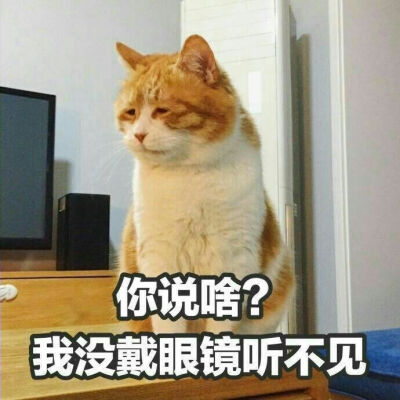 表情包